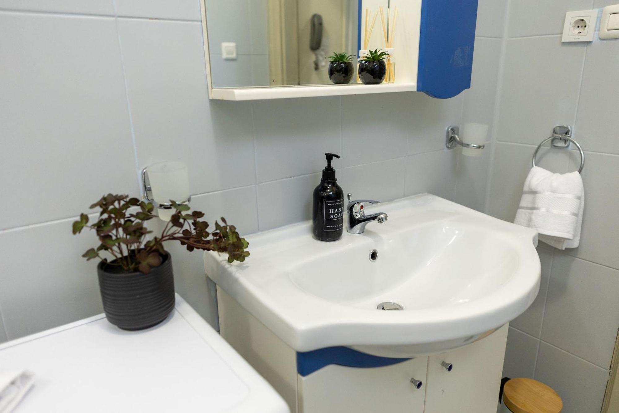 Designer - Views In The Heart Of Town Timişoara